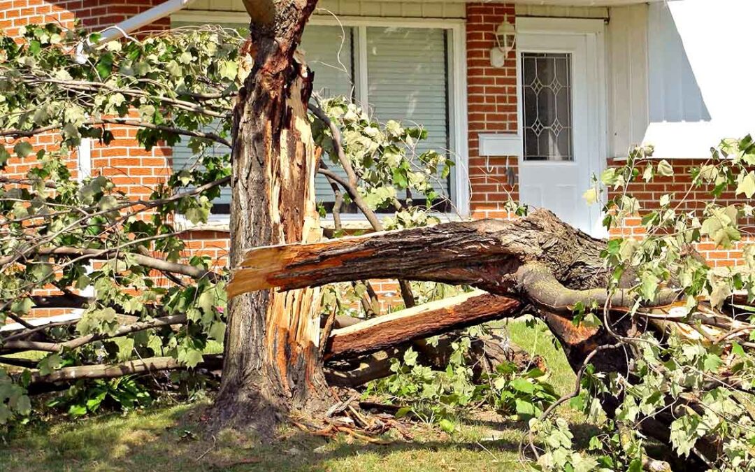 Cleaning Your Home After A Storm