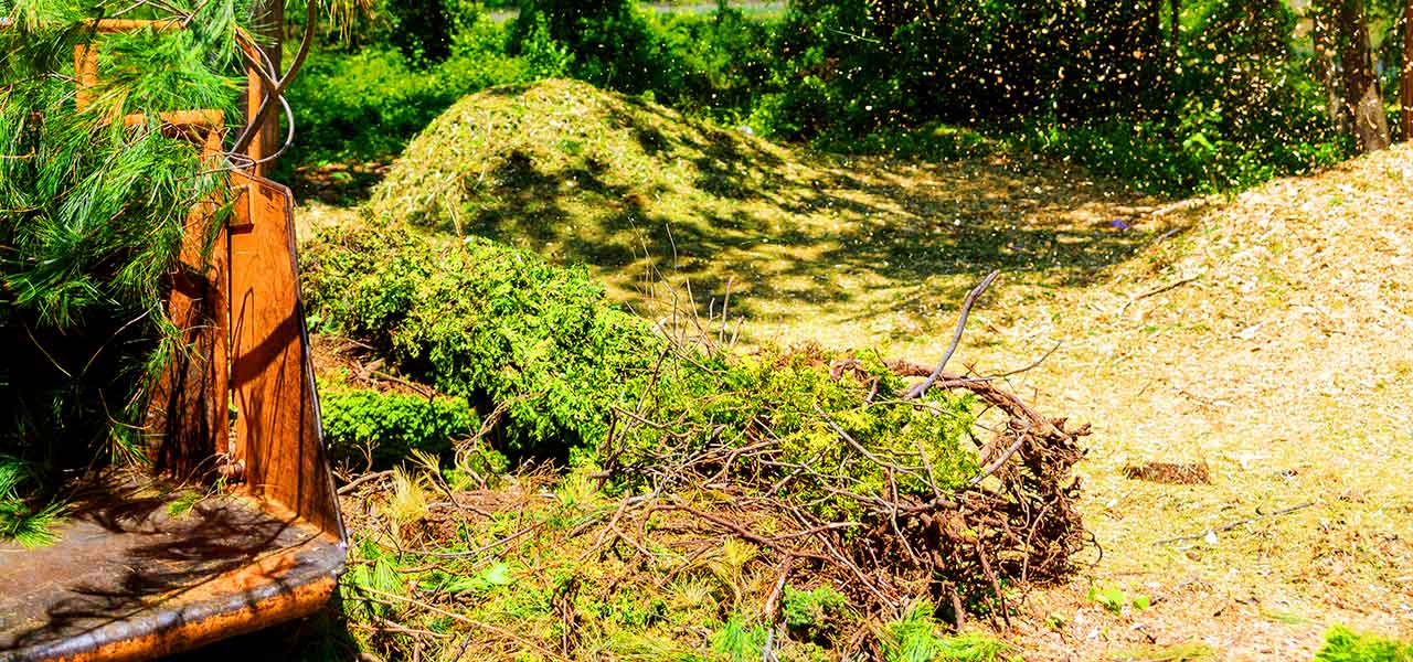 brush-clearing-fgl-land-maintenance