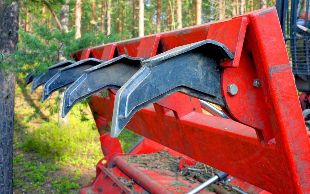 Why You Should Hire A Professional Land Clearing Service?