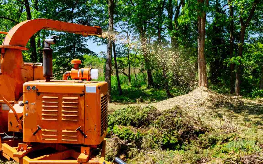 6 Benefits Of Forest Mulching