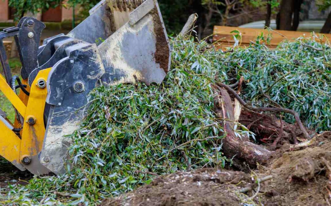 Land Clearing Methods
