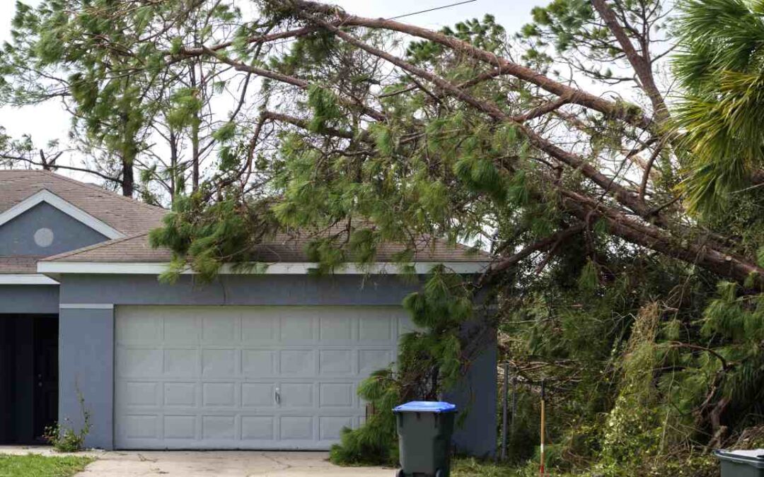 Tips For Cleaning Up After A Hurricane, Flood Or Tornado