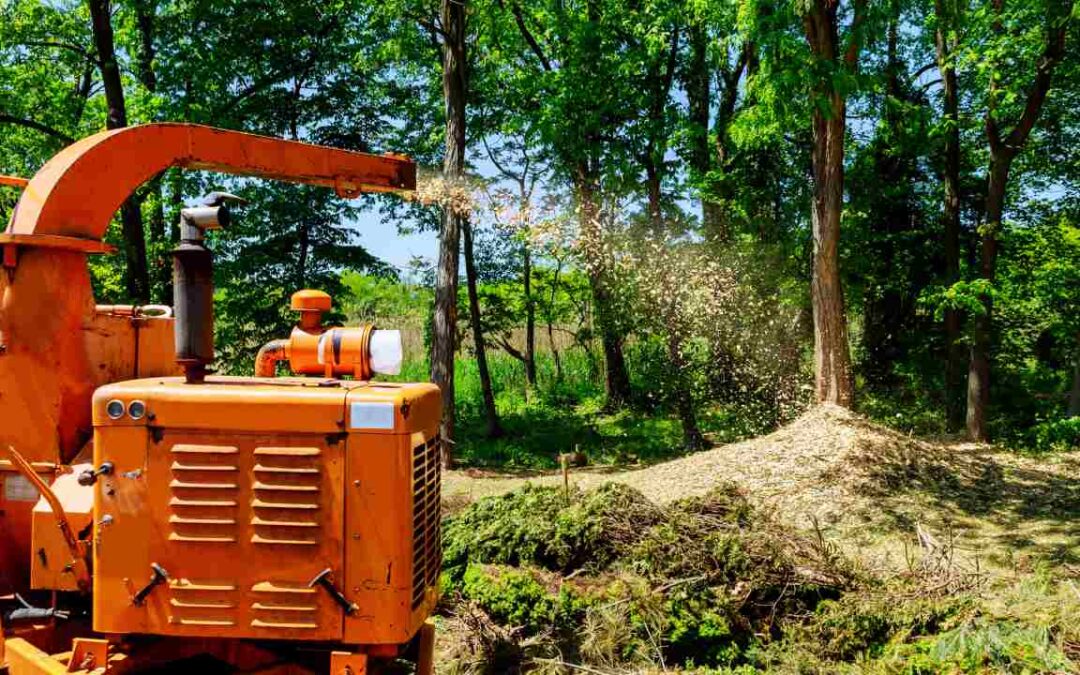 Forest Mulch Best Practices