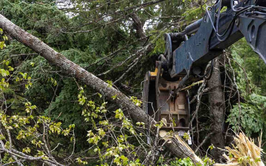 Tips For Safe And Smart Cleaning After A Storm