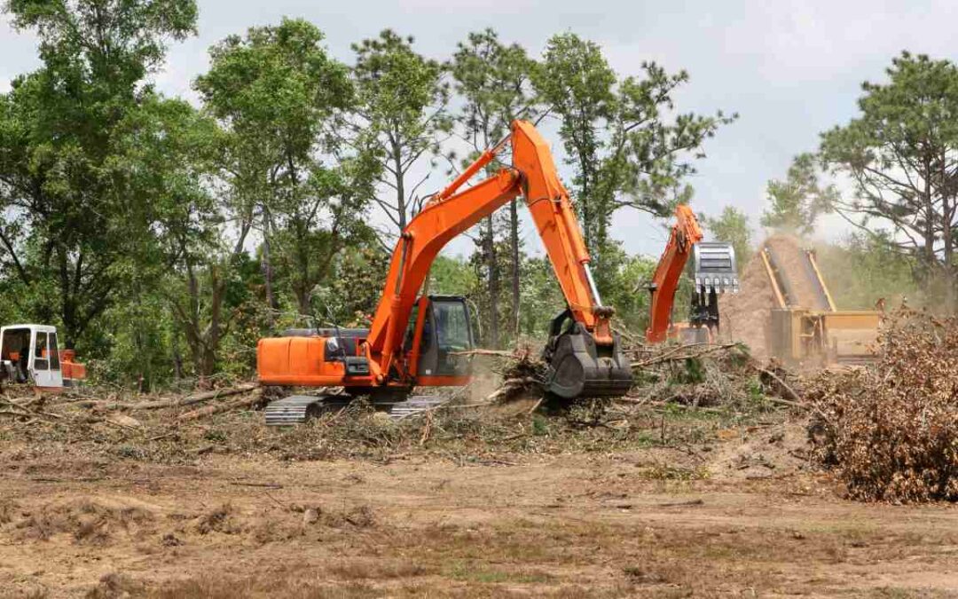 Top Tips for Clearing Overgrown Land