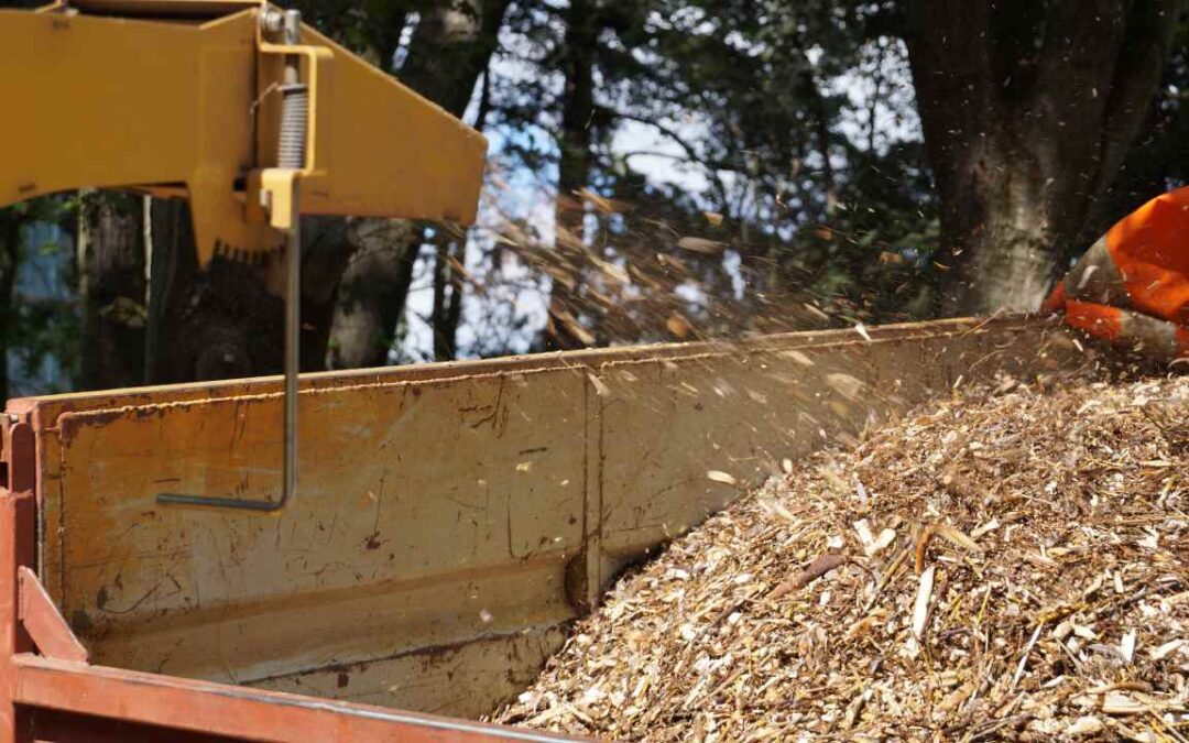 What Are The Benefits Of Forestry Mulching?