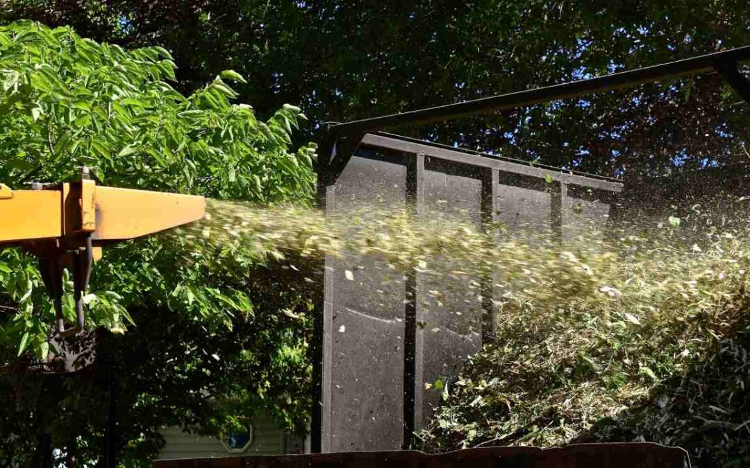 Benefits of Forestry Mulching on Your Property