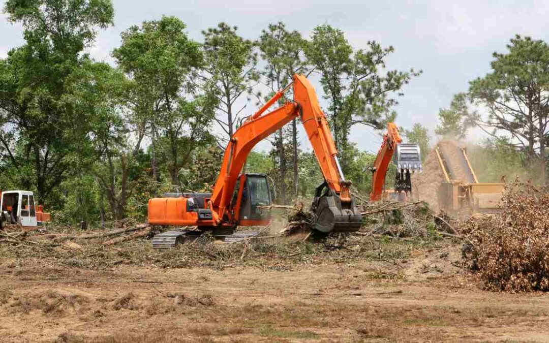 Clearing Weeds And Preventing New Growth