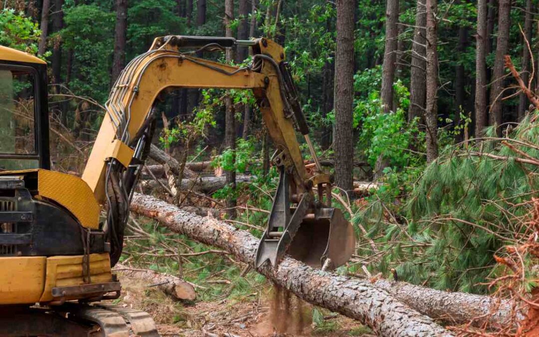 Reasons to Hire a Professional to Clean Your Land