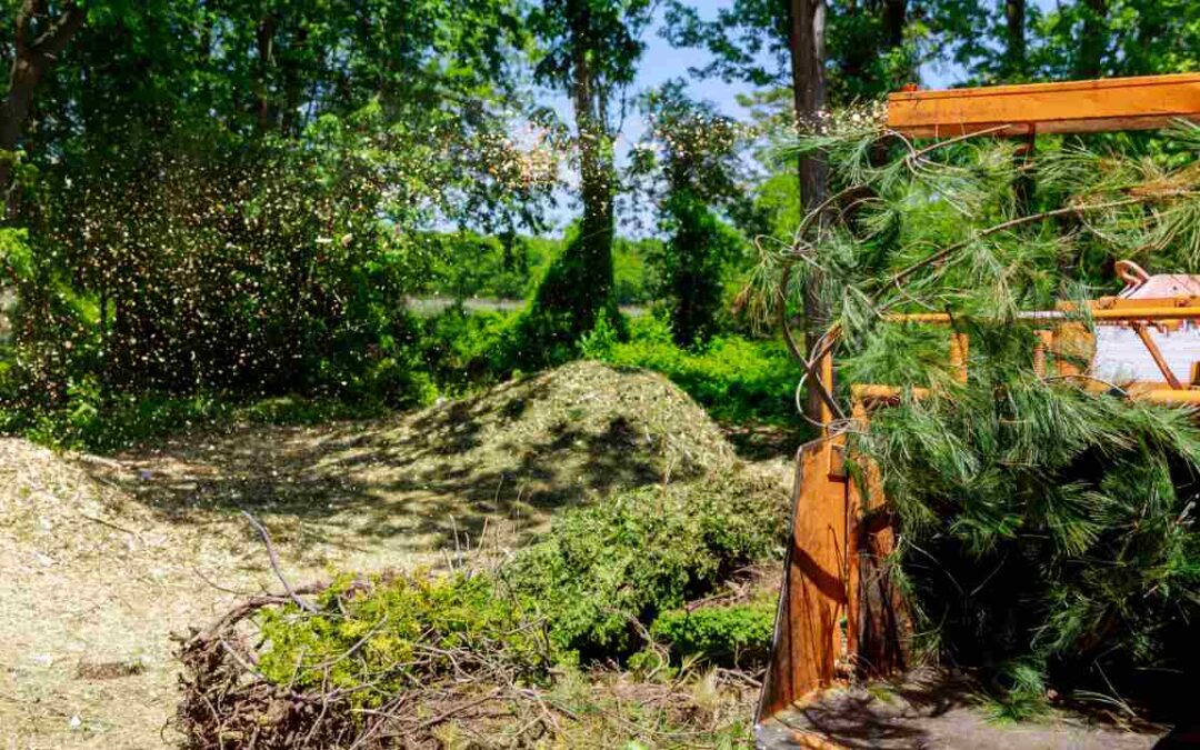 What To Know About Hiring A Forestry Mulching Service
