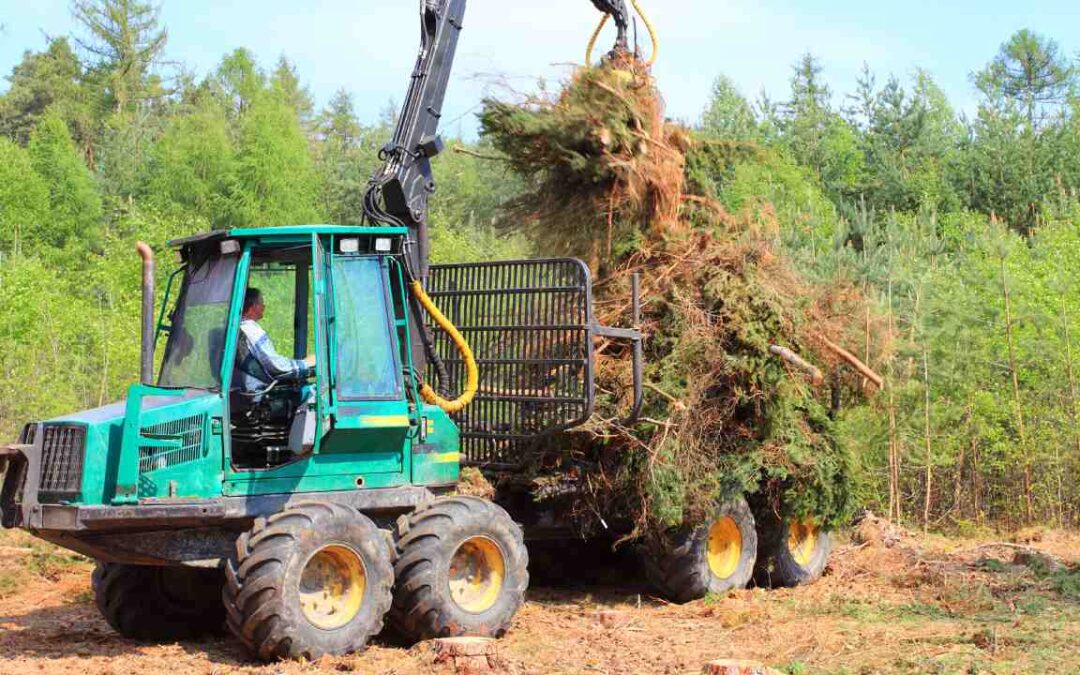 4 Reasons To Hire Forestry Mulching Services