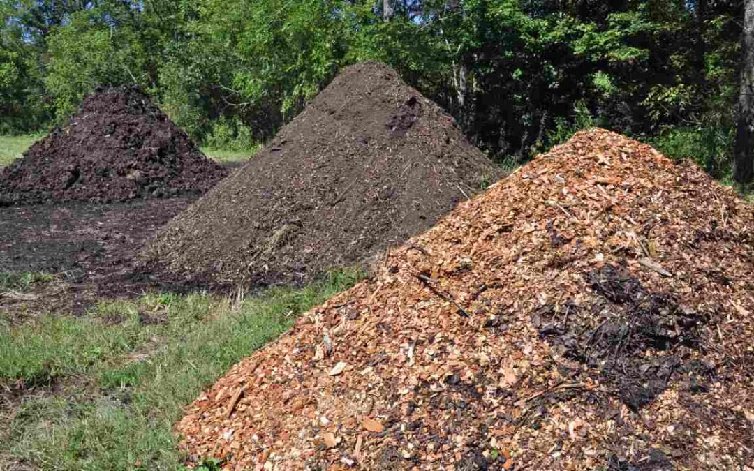 The Benefits Of Forest Mulch