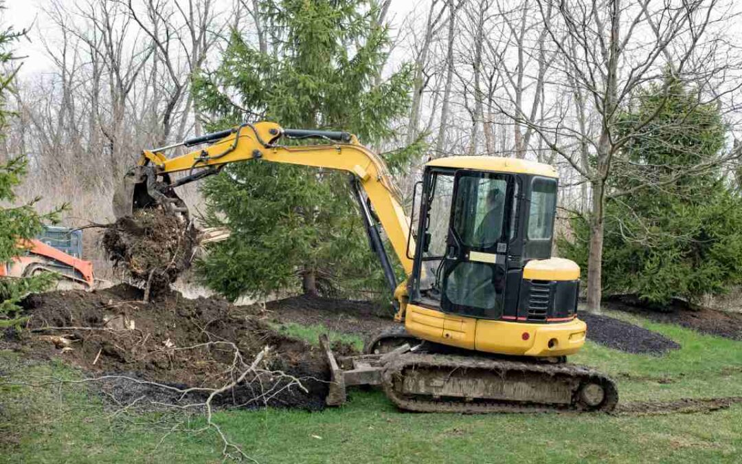 Common Mistakes to Avoid When Clearing Land