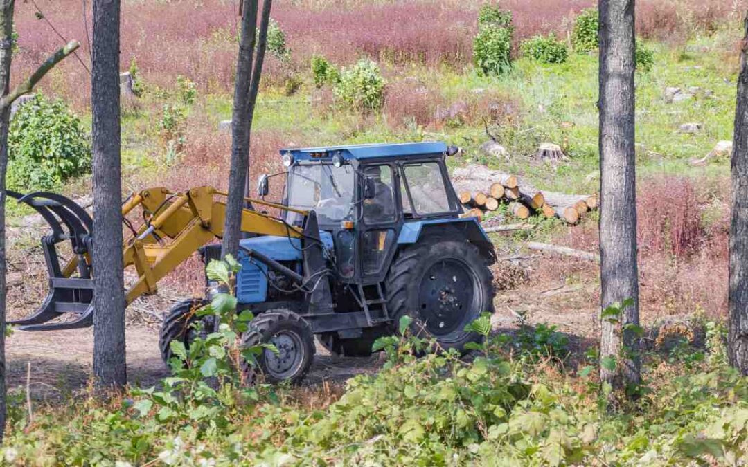 Benefits Of Clearing Weeds On Your Property