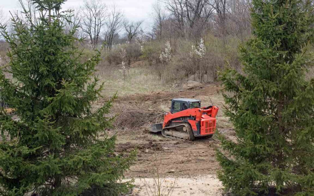 What Is the Most Efficient Way to Clear Land?
